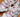 New Balance Pink Shoes Guide 2026 - Best Styles & Care Tips