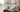 ASICS Gel Women 1130: 2026 Ultimate Comfort & Style Guide