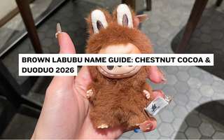 Brown Labubu Name Guide: Chestnut Cocoa & Duoduo 2026