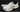White ASICS Gel 1130: Ultimate 2026 Style & Comfort Guide