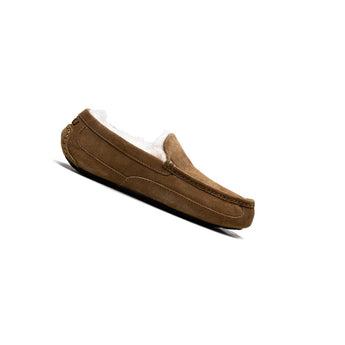 UGG Ascot Slipper Chestnut 1101110-CHE product image