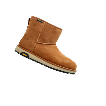 UGG Astromel Chestnut (Women's) 1171541-CHE product image