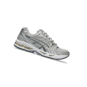 DBE Canva cover | 1202A056-021 | ASICS Gel-Kayano 14 Cloud Grey (Women's) | angle:-16 | canvas:1080