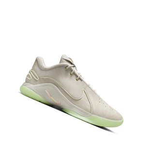 Nike LeBron 22 Dunkman (Translucent Outsole) product image