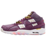 Nike Air Trainer SC High Atlanta Olympics 30th Anniversary | IQ5796-500 | image 2