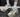 ASICS Gel NYC Cream Oyster Grey Review & Styling Guide 2026
