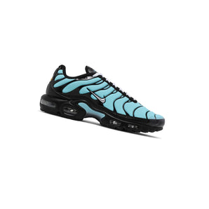 Nike Air Max Plus Aqua Blue