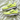 Custom Nike P-6000 Neon Lime Moonbeam Mesh Grid Trainers