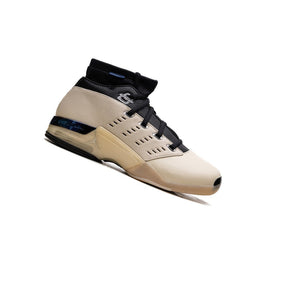 Jordan 17 Retro Low SP Infinite Archives product image