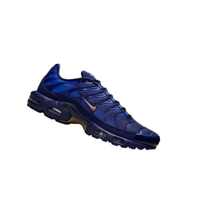 Nike Air Max Plus French Football Federation product image