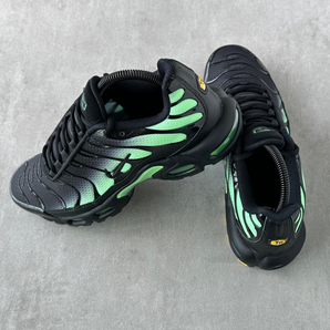 Nike Air Max Plus Black Illusion Green