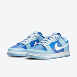 Nike Dunk Low Retro QS Argon | DM0121-400 | image 3