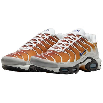 Nike Air Max Plus One Block Down Chutney (FZ3308-700) - Double Boxed product view 3