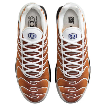 Nike Air Max Plus One Block Down Chutney (FZ3308-700) - Double Boxed product view 4