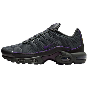Nike Air Max Plus Iron Grey Wild Grape | HV8066-001 | image 2